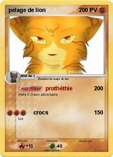 Pokemon pelage de lion