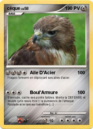 Pokemon céque