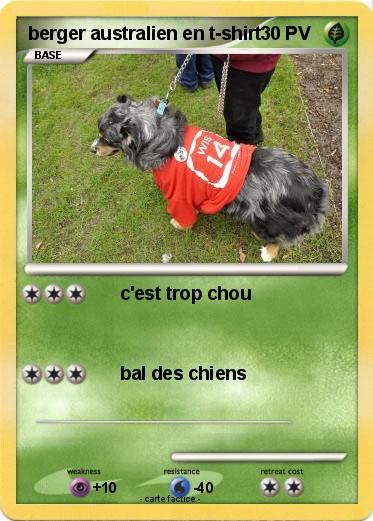 Pokemon berger australien en t-shirt