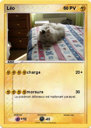 Pokemon Léo