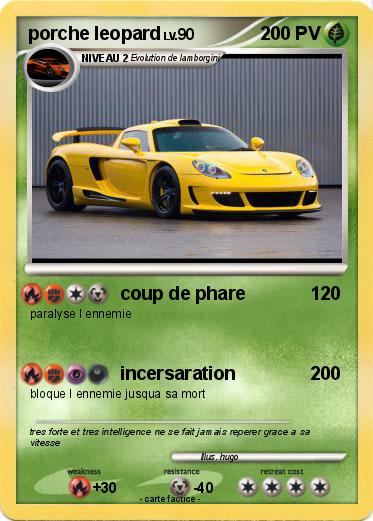 Pokemon porche leopard