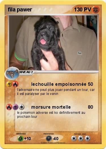 Pokemon fila pawer