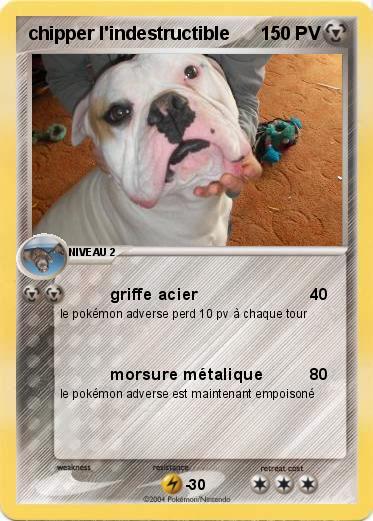 Pokemon chipper l'indestructible