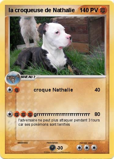 Pokemon la croqueuse de Nathalie