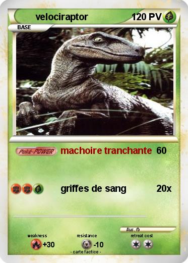 Pokemon velociraptor