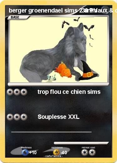 Pokemon berger groenendael sims 2 animaux & cie DS