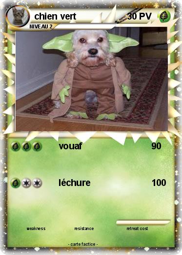 Pokemon chien vert
