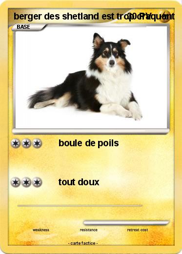 Pokemon berger des shetland est trop craquant