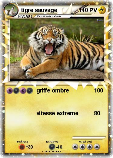 Pokemon tigre sauvage