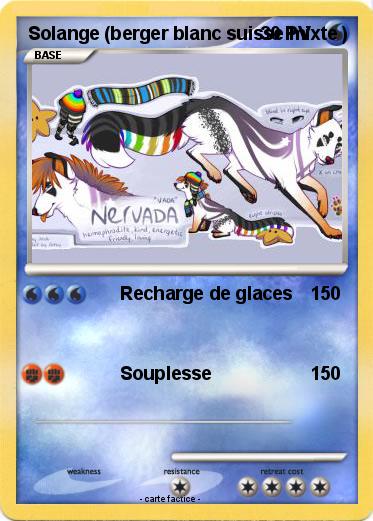 Pokemon Solange (berger blanc suisse mixte )