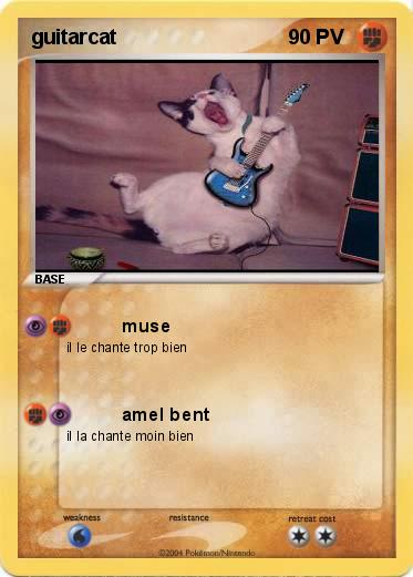 Pokemon guitarcat
