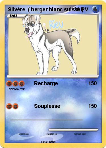 Pokemon Silvère  ( berger blanc suisse )