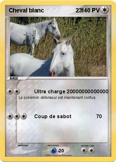 Pokemon Cheval blanc                    23