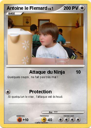 Pokemon Antoine le Flemard