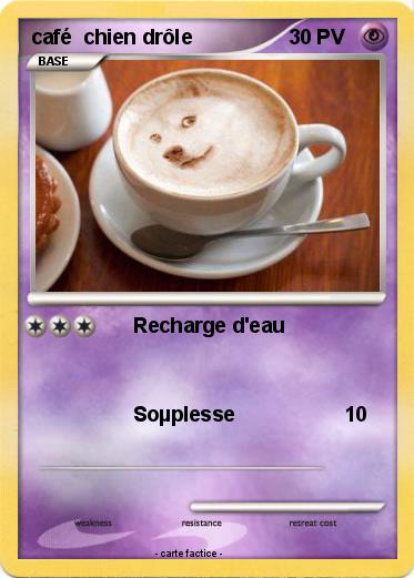 Pokemon café  chien drôle