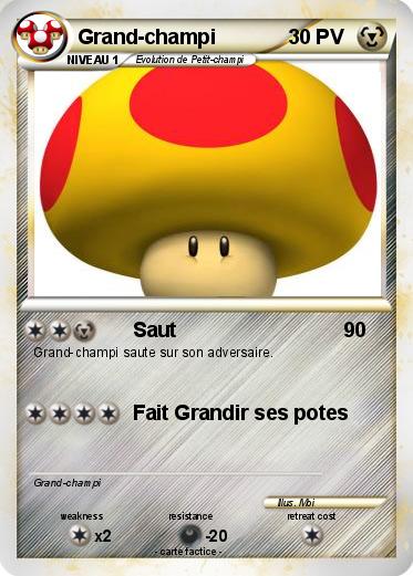 Pokemon Grand-champi