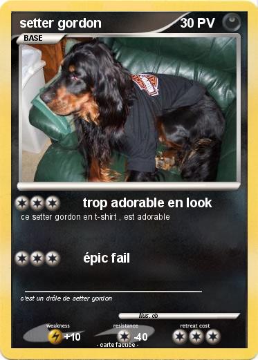 Pokemon setter gordon