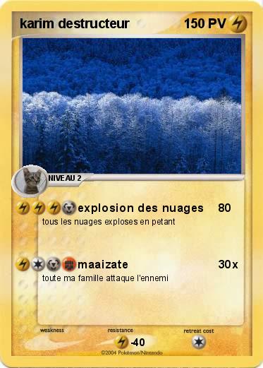 Pokemon karim destructeur