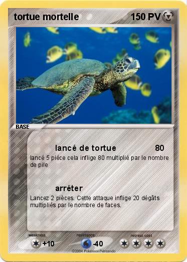 Pokemon tortue mortelle