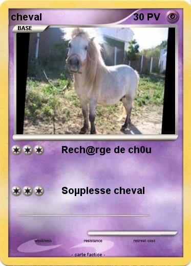 Pokemon cheval