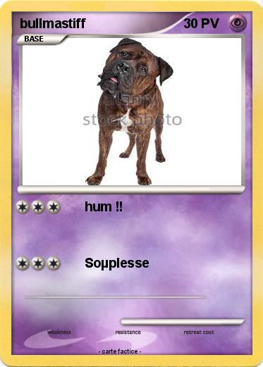 Pokemon bullmastiff