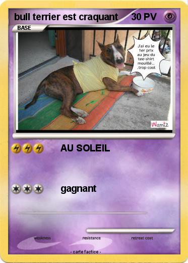 Pokemon bull terrier est craquant
