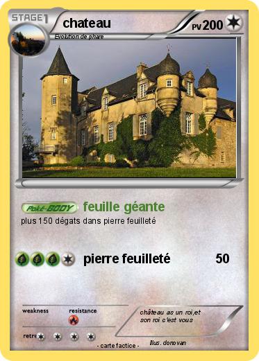 Pokemon chateau