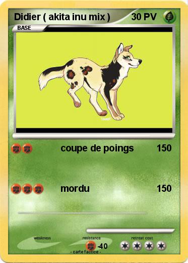 Pokemon Didier ( akita inu mix )