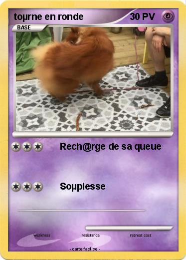 Pokemon toµrne en ronde