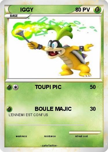 Pokemon IGGY
