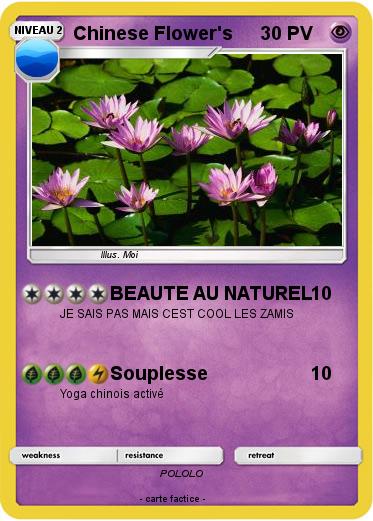 Pokemon Chinese Flower's