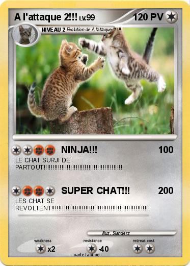 Pokemon A l'attaque 2!!!