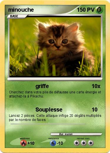 Pokemon minouche