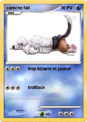 Pokemon caniche fail