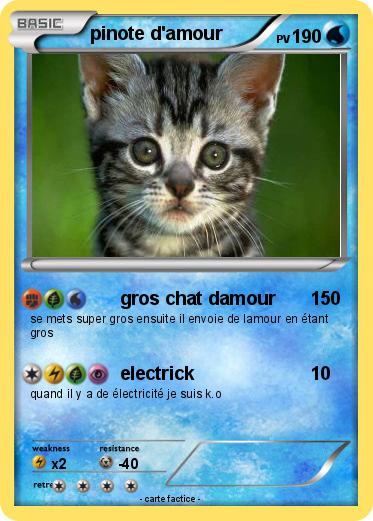Pokemon pinote d'amour