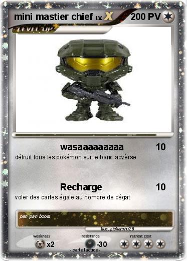 Pokemon mini mastier chief