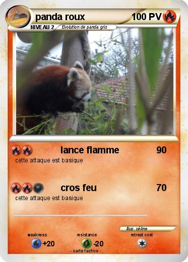 Pokemon panda roux
