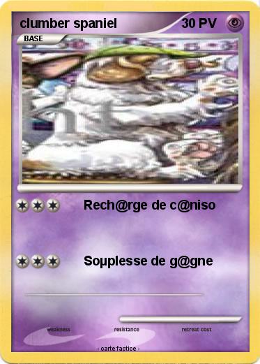 Pokemon clumber spaniel