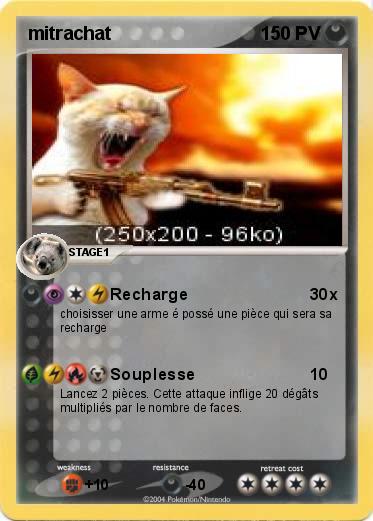Pokemon mitrachat
