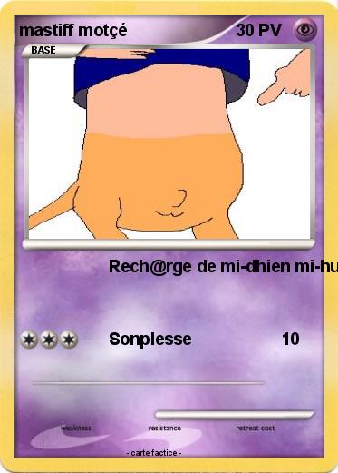 Pokemon mastiff motçé