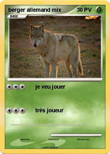 Pokemon berger allemand mix