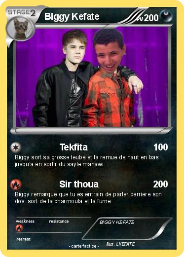 Pokemon Biggy Kefate