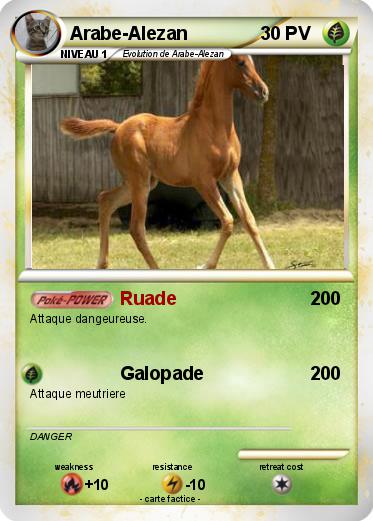 Pokemon Arabe-Alezan
