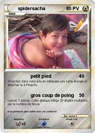 Pokemon spidersacha