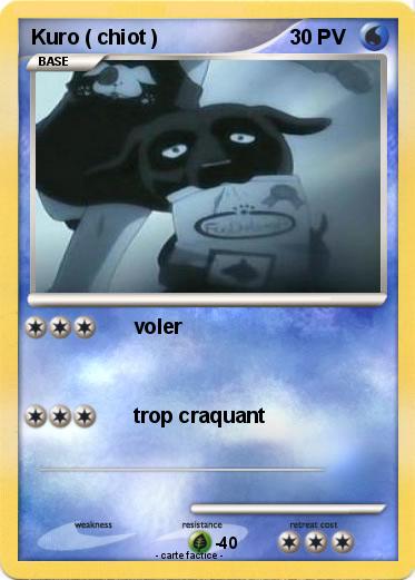 Pokemon Kuro ( chiot )