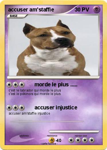 Pokemon accuser am'staffie