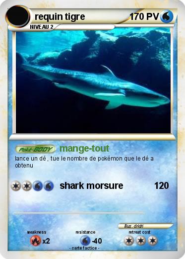 Pokemon requin tigre