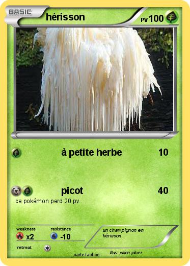 Pokemon hérisson