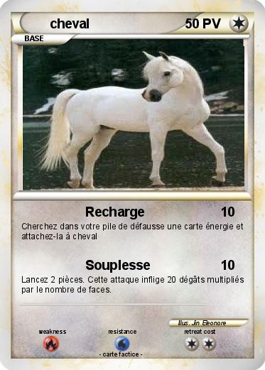 Pokemon cheval