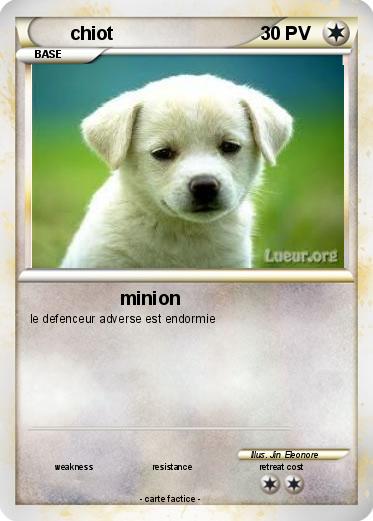 Pokemon chiot